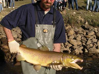 Boost to the off season fishery in the Northwest with salmon stocked into Lake Barrington