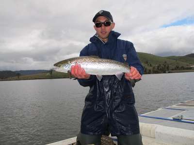 More salmon stocked at Craigbourne Dam and Meadowbank Lake