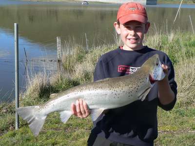 More salmon stockings in the south