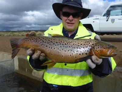 Australia Coldest Inhabited Place Liawenee Breaks Records