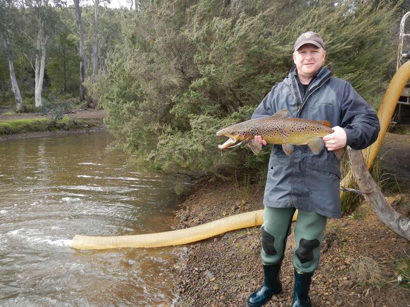 Lake Barrington and Brushy Lagoon stocked with big rainbow trout and
