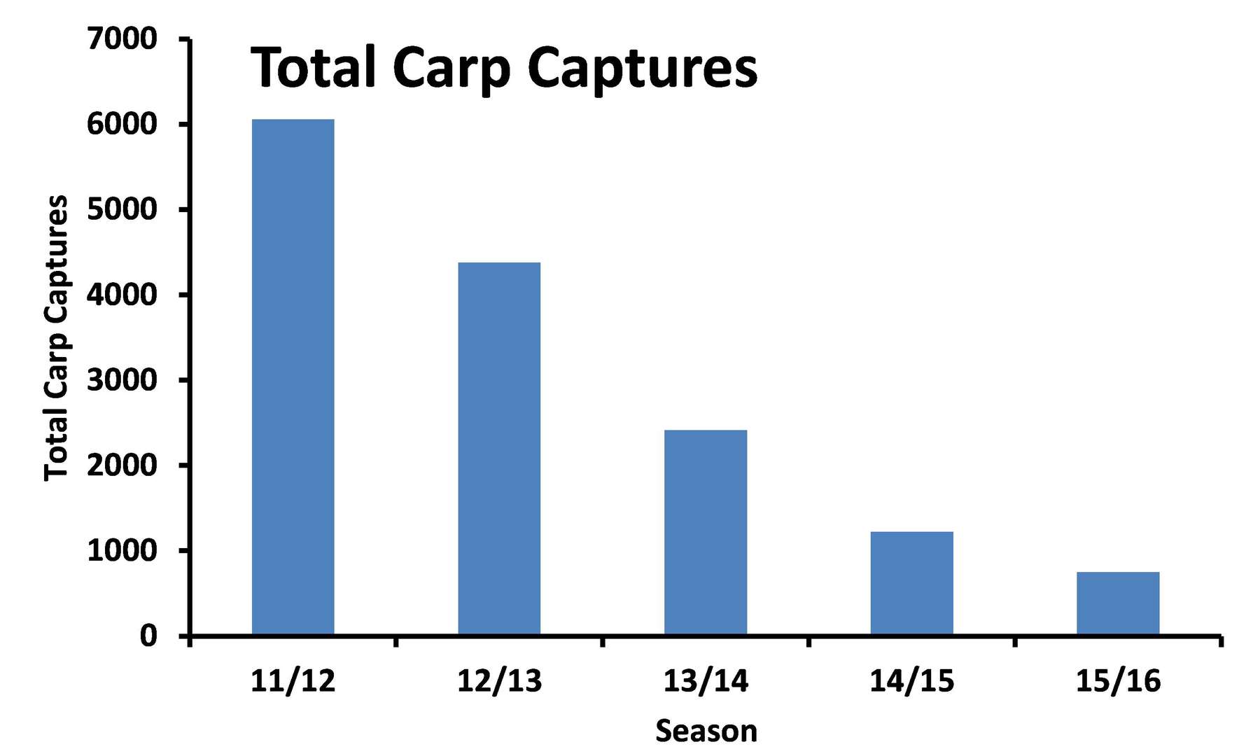 Data reveals that carp population has been smashed in Lake Sorell