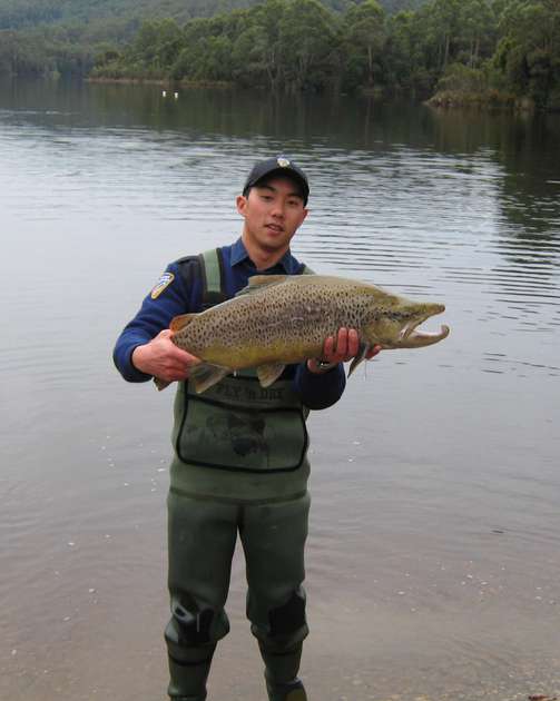 Lake Barrington gets some big rainbow trout and Atlantic salmon
