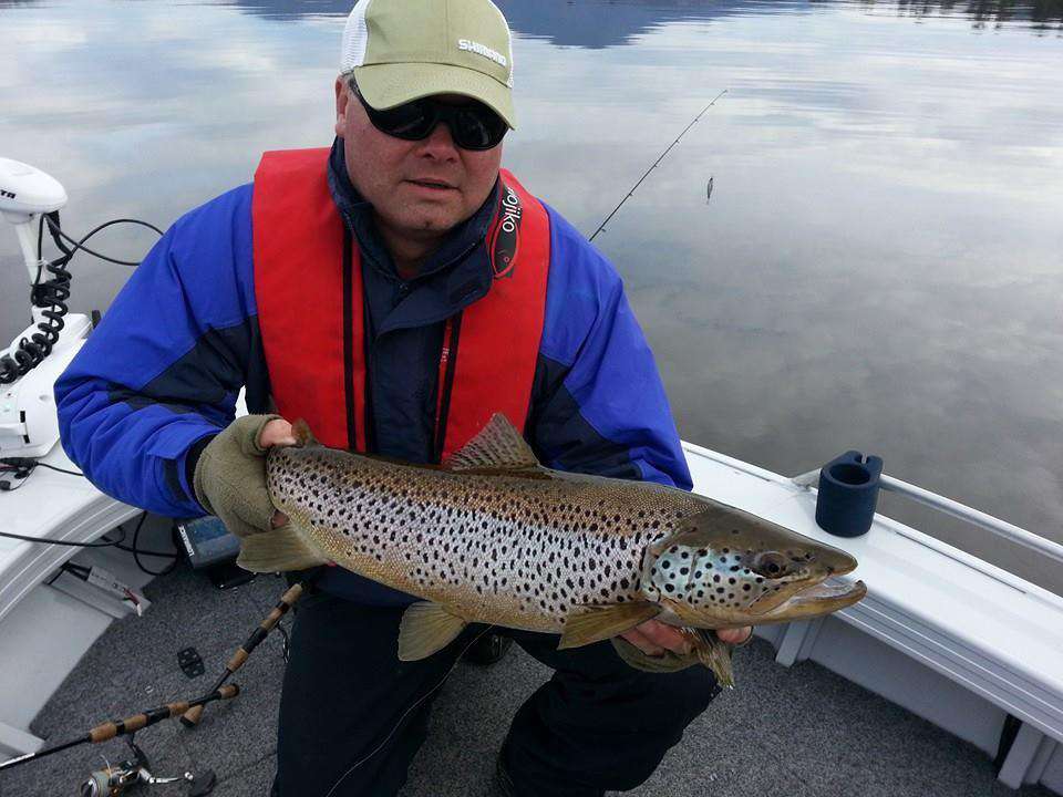 Have you included chasing some sea run brown trout in your angling