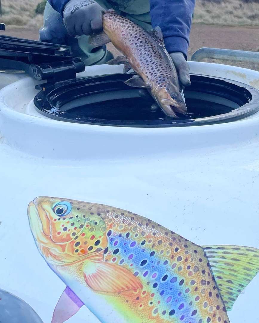 Most inland waters close but there are still opportunities to fish through winter.