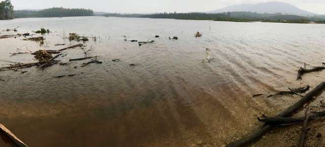 Camden Dam update