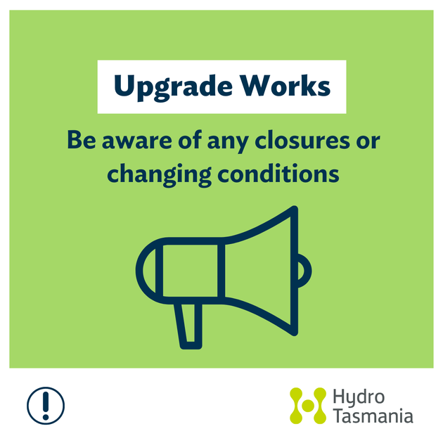 Non-toxic blue-green algal bloom in Woods Lake