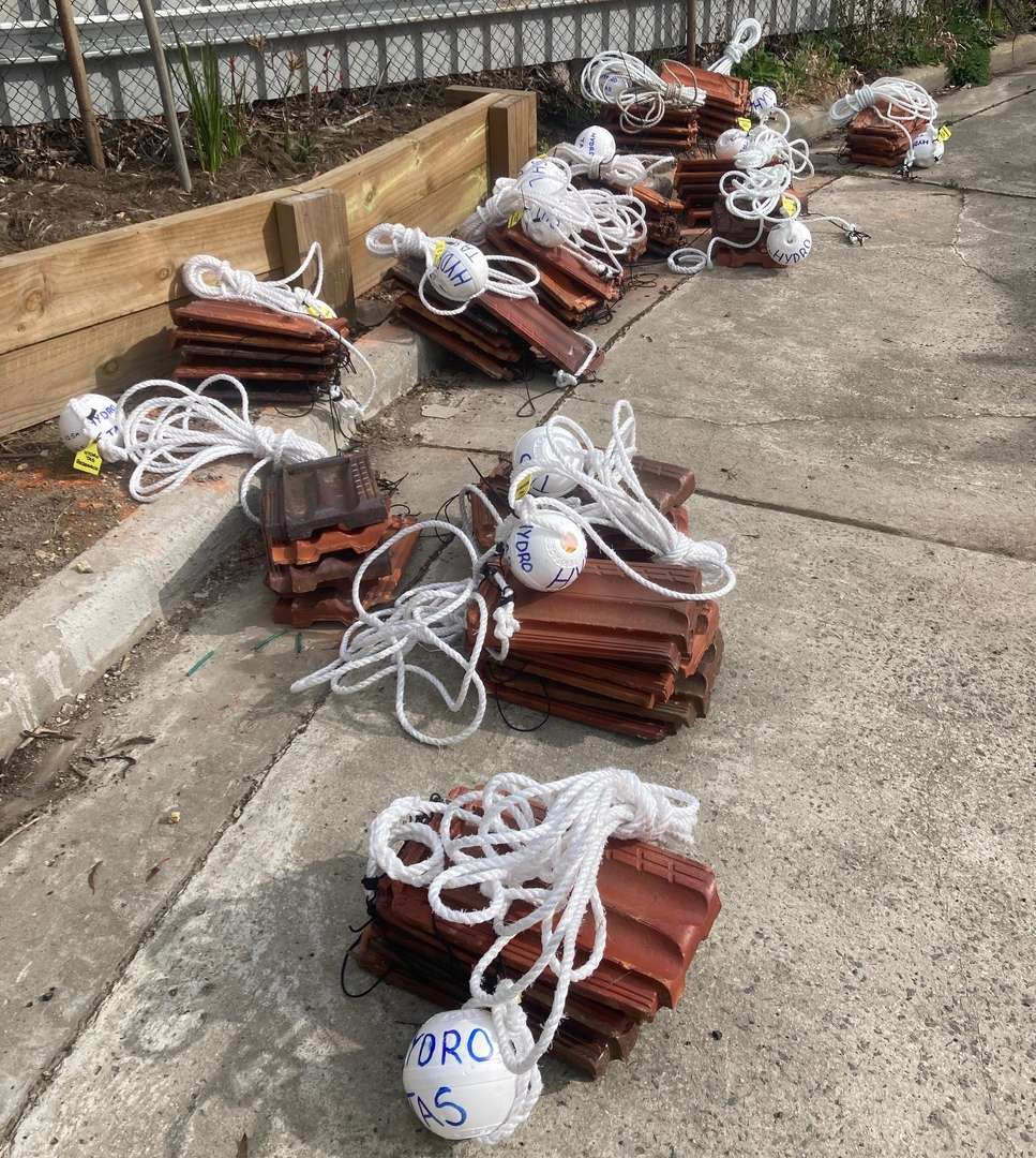 Be aware - Lake Echo survey buoys now in place