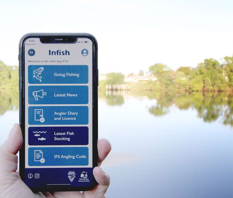 The infish app logo