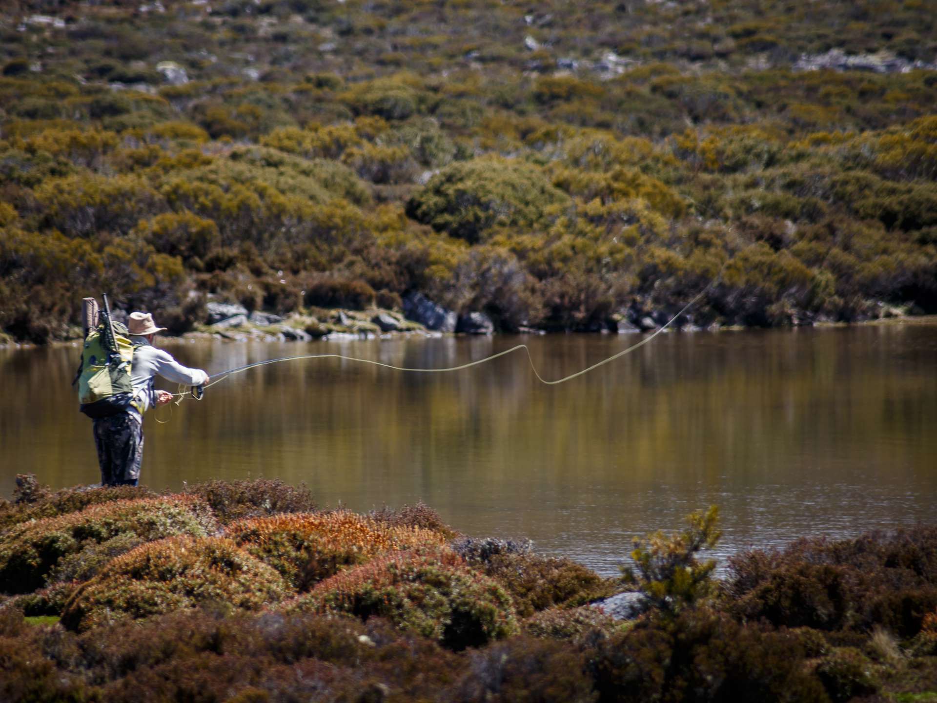 Fishing near me - Inland Fisheries Service