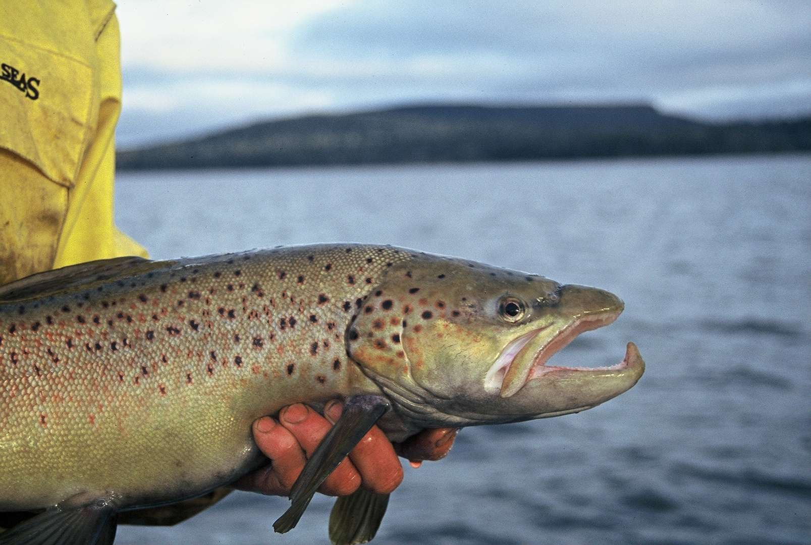 Great fishing at Lake Crescent