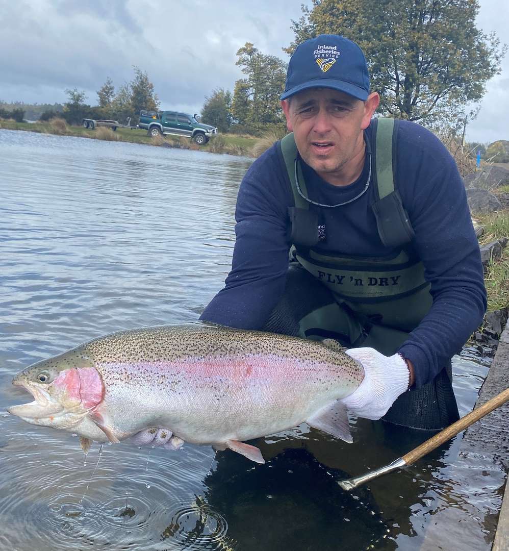 Stocking - Bradys Lake