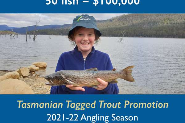 The Instagram image for the Tasmanian Tagged Trout Promotion in the 2021-22 angling season featuring 12 year old Fiona Batterham, member of the Westbury Angling Club who caught the 2020-21 tagged trout worth $10,000 from Lake Rowallan.