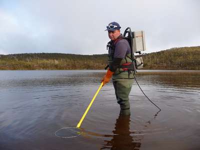 Inland Fisheries Service staff member Storm Eastley undertaking elecro-fishing as a part of the 2018 Clarence Galaxias survey.