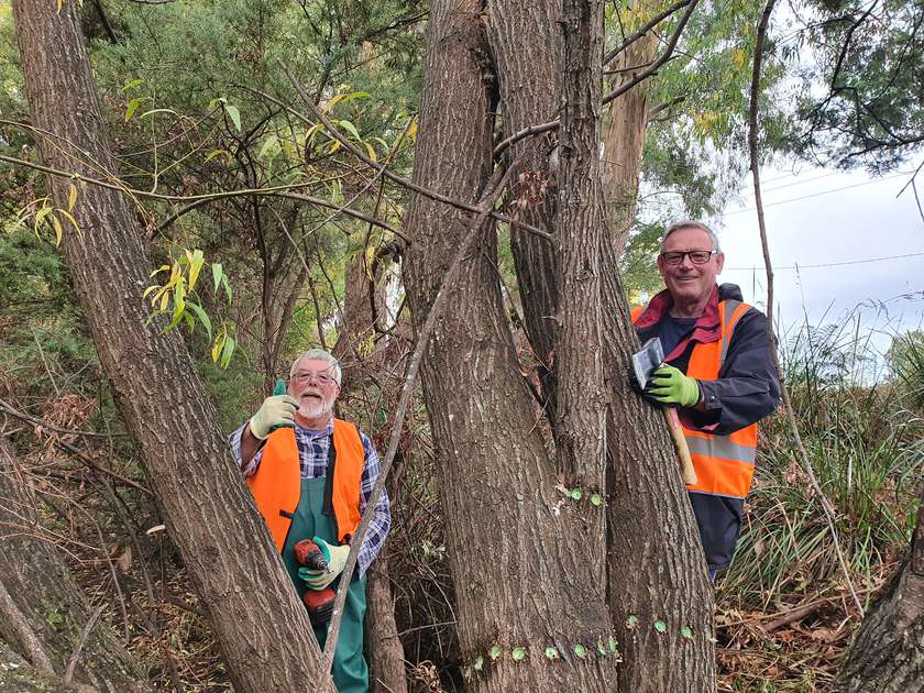 Willow control on the Tyenna River– a tribute to the Clark Family