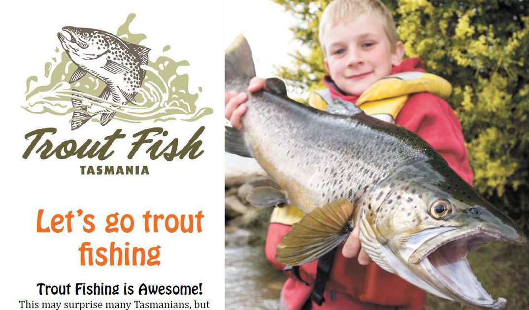 A guide to start trout fishing