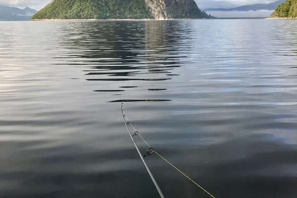 Tullah West Coast Tasmania Lake Mackintosh