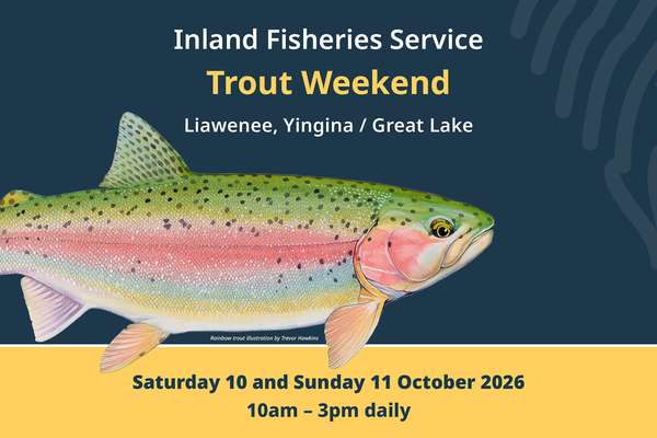 Illustration of a rainbow trout by Trevor Hawkins, accompanied by the text Inland Fisheries Service Trout Weekend 2026 Liawenee, Yingina / Great Lake Saturday 10 and Sunday 11 October 2026 10am - 3pm daily