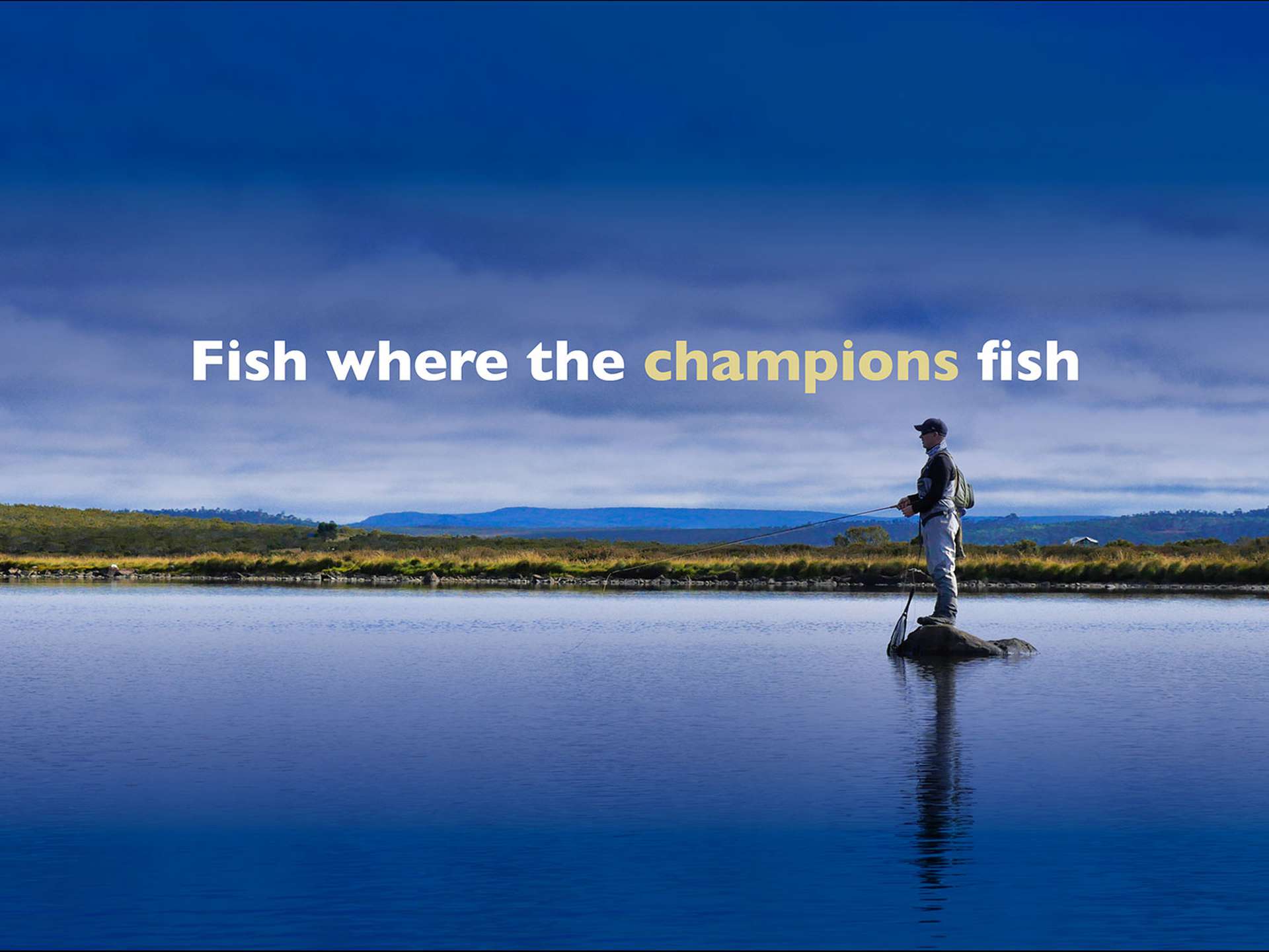 Fish where the champions fish