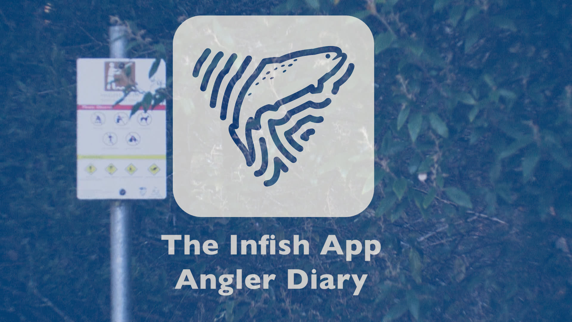 Steve Starling holding a rainbow trout