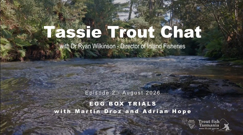 Running creek with titles text of the video overlayed: Tassie Trout Chat - Episode 2 - Trout Egg Boxes
