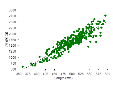 This graph shows the spread of the length and weight of all the brown trout captured during the survey