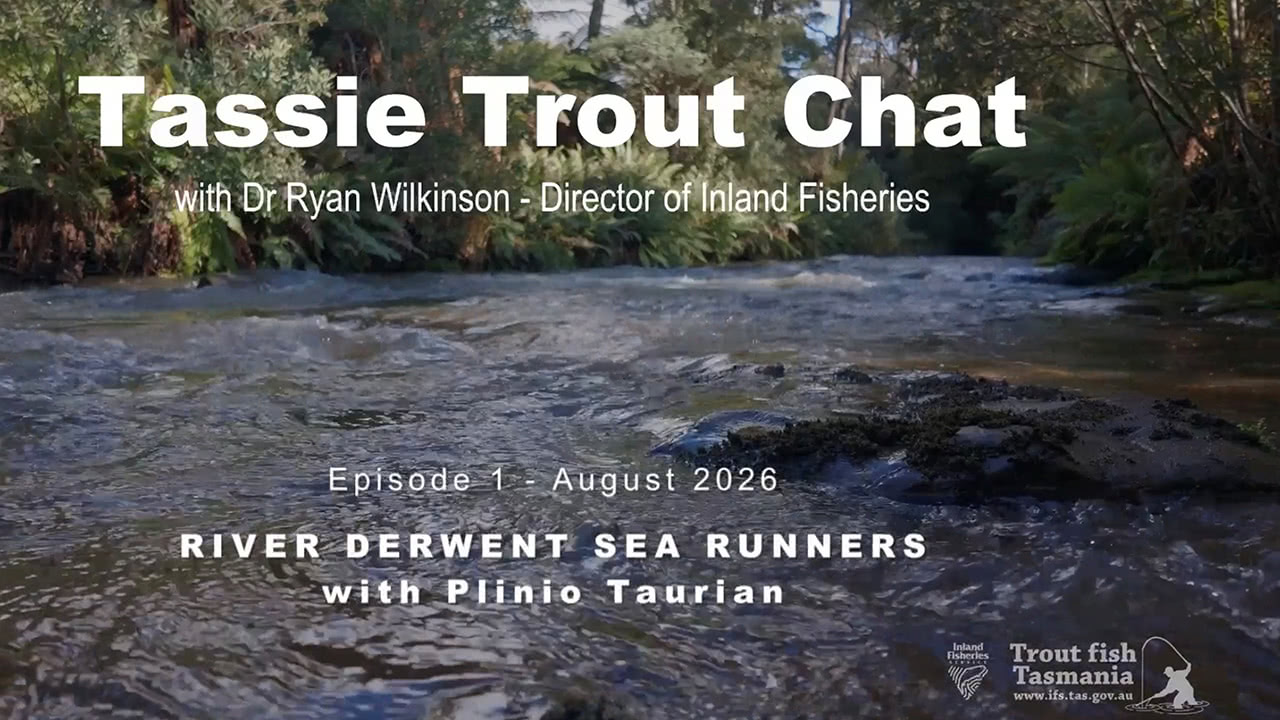 Running creek with titles text of the video overlayed: Tassie Trout Chat - Episode 1 - River Derwent Sea Run Trout